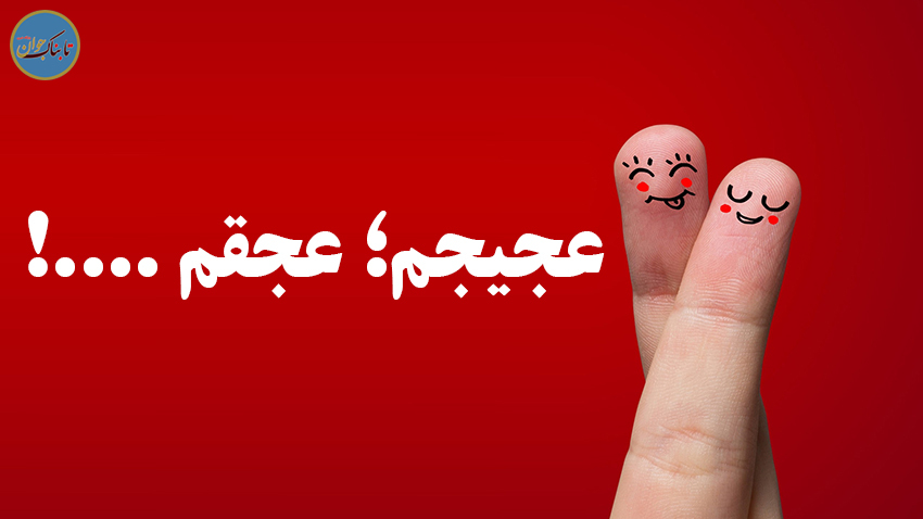 «شاندویچ منو نشف میکنی؟!» «شاندویچ منو نشف میکنی؟!»