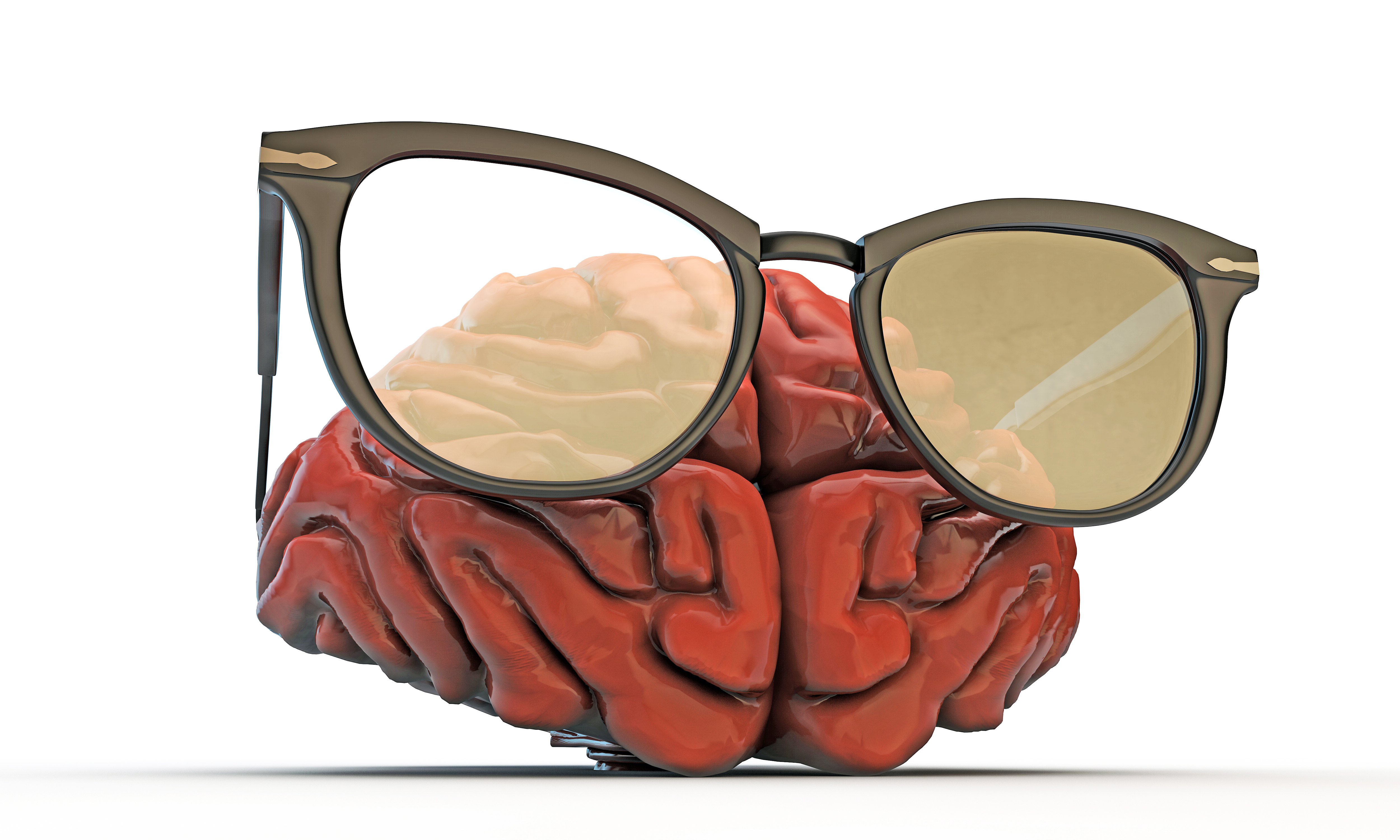 مغز و عینک
