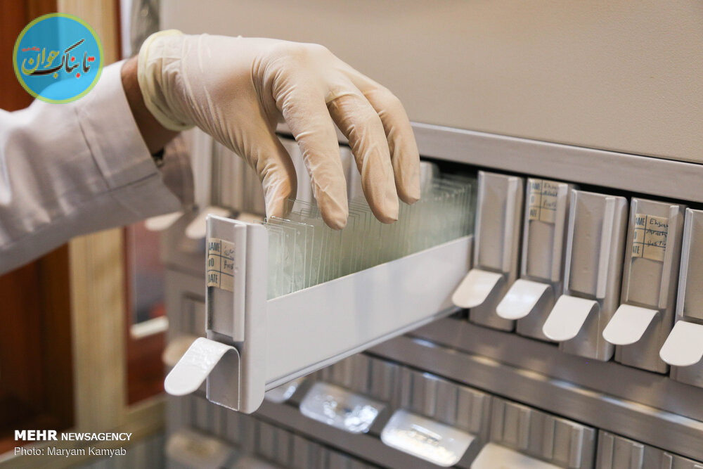 بانک مغز بانک مغز